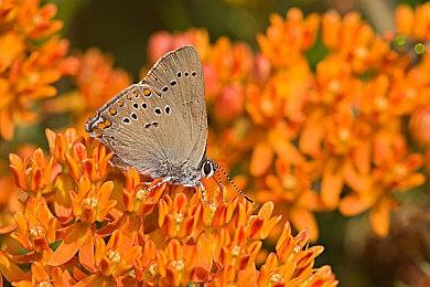 《宇宙机器人》世界规模是前作4倍大 没有微交易